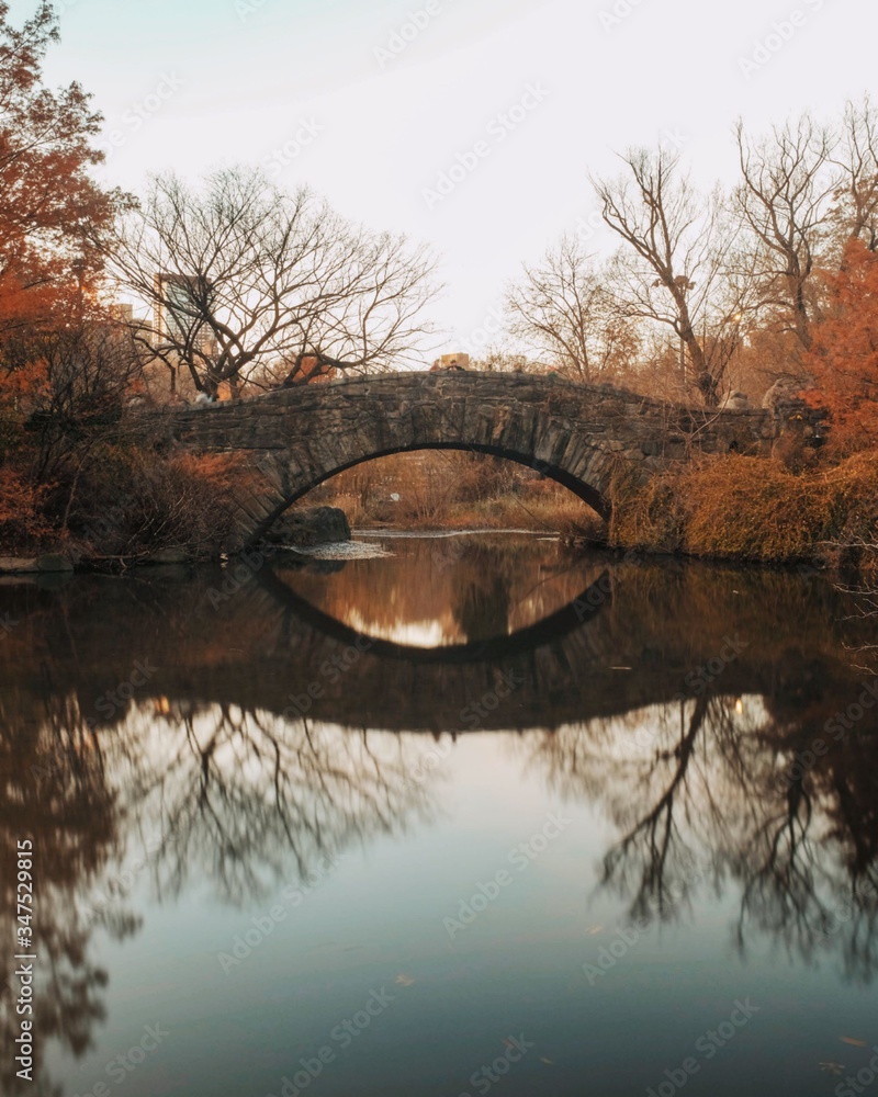 bridge in the park during autumn