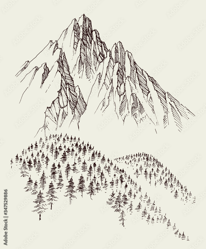 Nature drawing, mountains ranges and alpine forest sketch