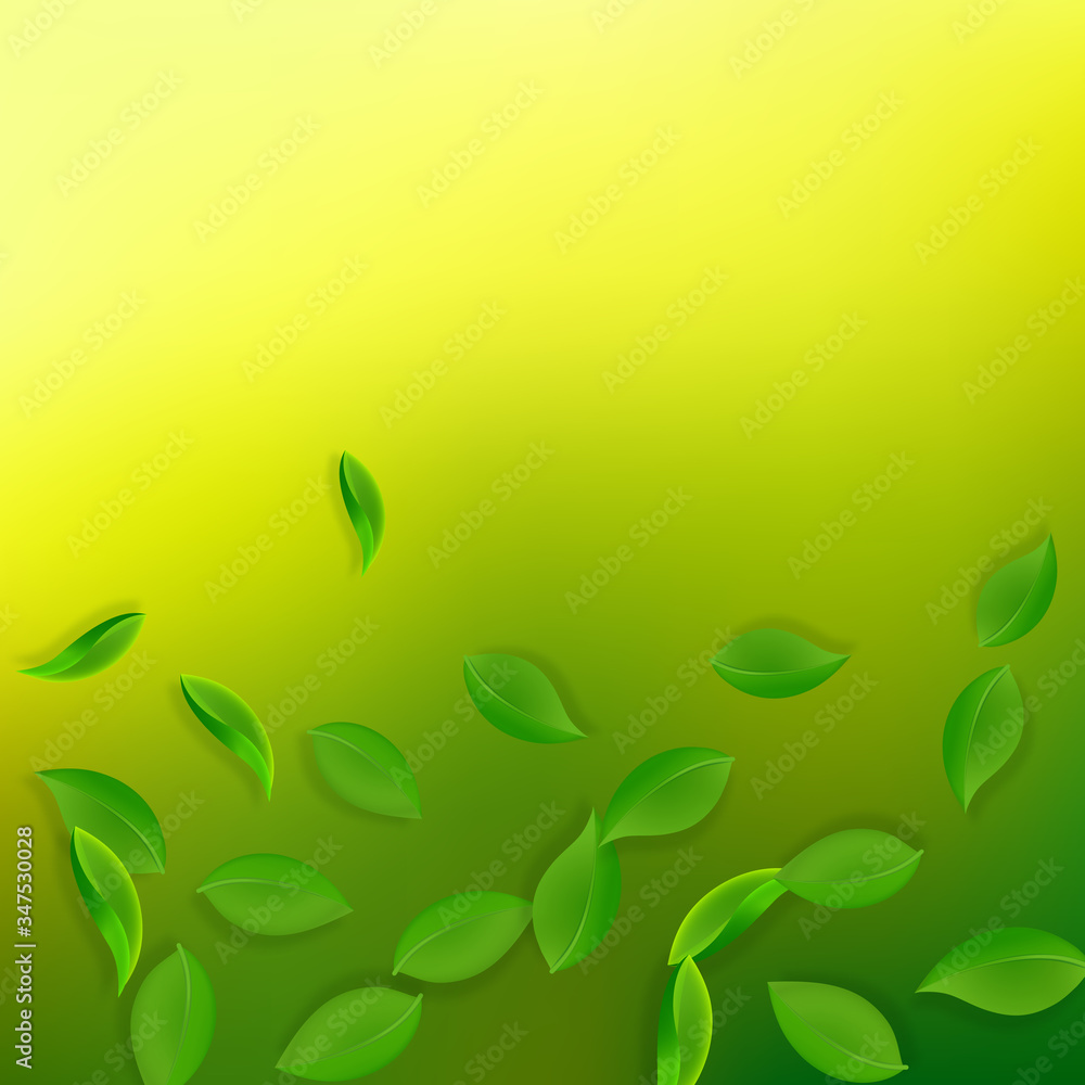 Falling green leaves. Fresh tea neat leaves flying Falling green leaves. Fresh tea neat leaves flying
