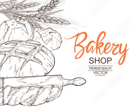 Bread set for bakery and pastry shop template.Fresh rye,whole grain and wheat bread,baguette,croissant,bun,,pita,ciabatta,bagel.Vector hand drawn template packaging food, label, banner, poster.