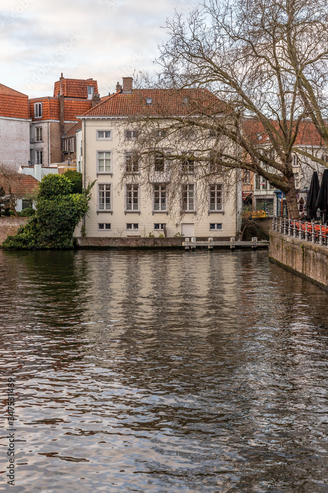 Buildings and tree around channels in Bruges
