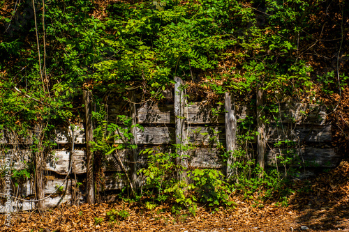 Fototapeta Naklejka Na Ścianę i Meble -  old wooden protective fence