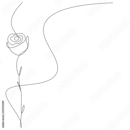 Rose flower background line drawing, vector illustration