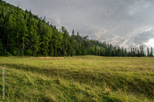 meadow and forest before the storm, Kościelisko, Podhale region, Poland, Droga pod Reglami © sarns