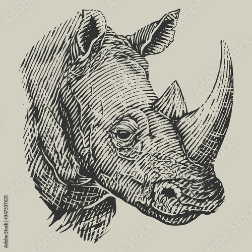 vector illustration of rhinoceros head in woodcut style