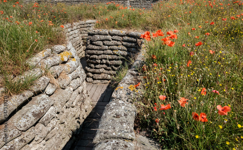 World War I trenches known as Dodengang (Trench of Death) surrounded by poppies. Located near Diskmuide, Flanders, Belgium photo