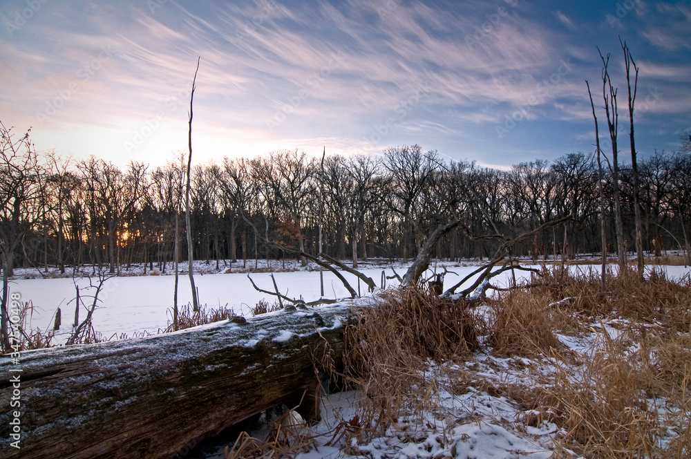 Sunrise clouds drift over a frozen pond in a Midwest wetland conservation area. Sunrise clouds drift over a frozen pond in a Midwest wetland conservation area.