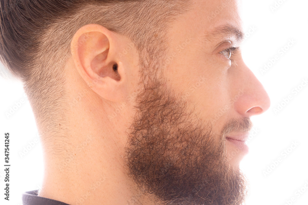 Obraz premium A portrait on a white background