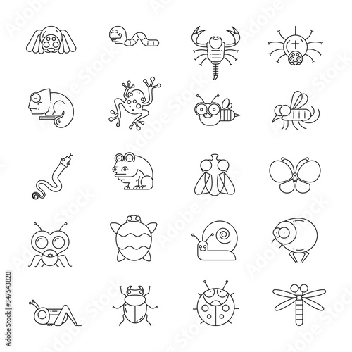 Insect Vector Line Icons  Minimal Pictogram Design  Editable Stroke For Any Resolution