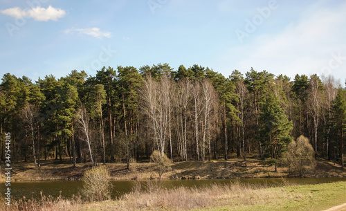 Photography Forest and lake