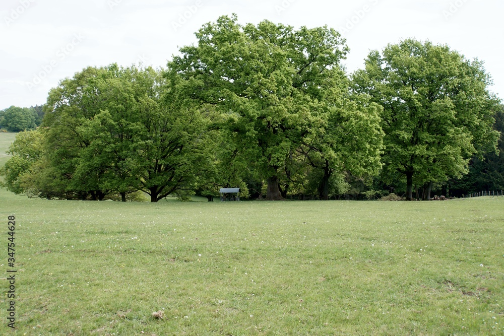 Obraz premium Natur, Landschaft