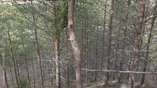 Puuvuori Ylöjärvi Finland