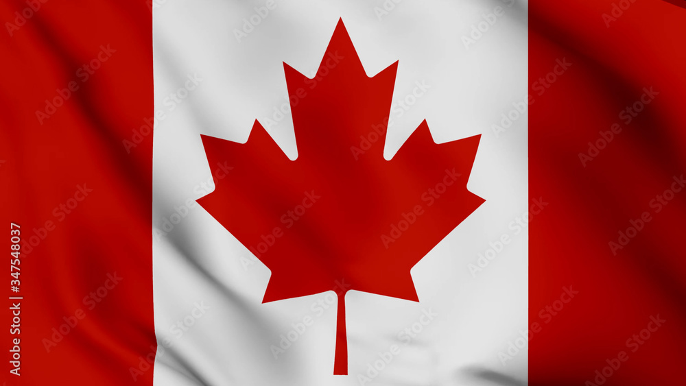 Canada flag is waving 3D animation. Canada flag waving in the wind. National flag of Canada Canada flag is waving 3D animation. Canada flag waving in the wind. National flag of Canada