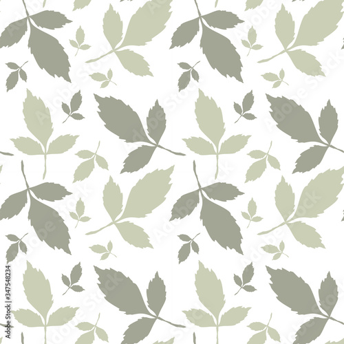 Seamless white background with green branches and petals