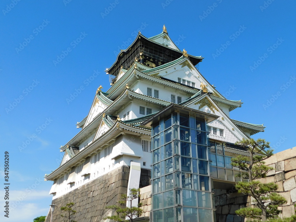 Fototapeta premium 大阪城本丸から見た天守閣