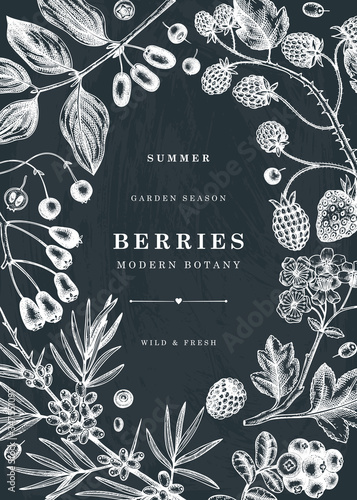 Summer berries and flowers frame on chalk board. Hand drawn berry design - strawberry, cranberry, currant, cherry, bilberry, raspberry, blueberry hand drawing on chalkboard