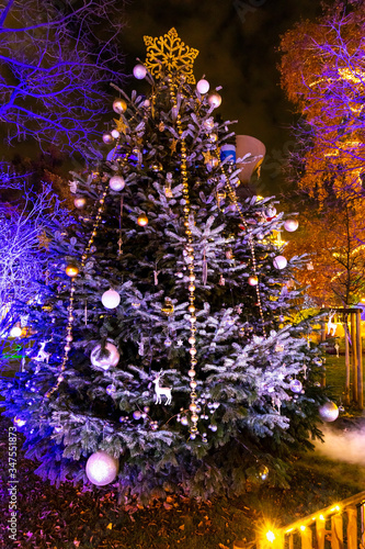 Christmas tree in Vienna  Austria