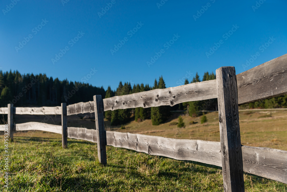 A rural fence with pastures in the Trentino Dolomites. Wooden boards aged by the sun and rain. An autumn day, the blue color dominates the cloudless sky. Spruce woods in the background. Italy