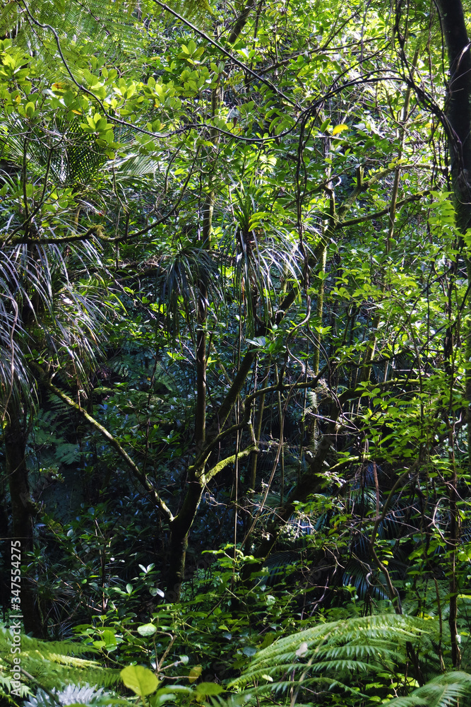 Fototapeta premium Hiking in the wild