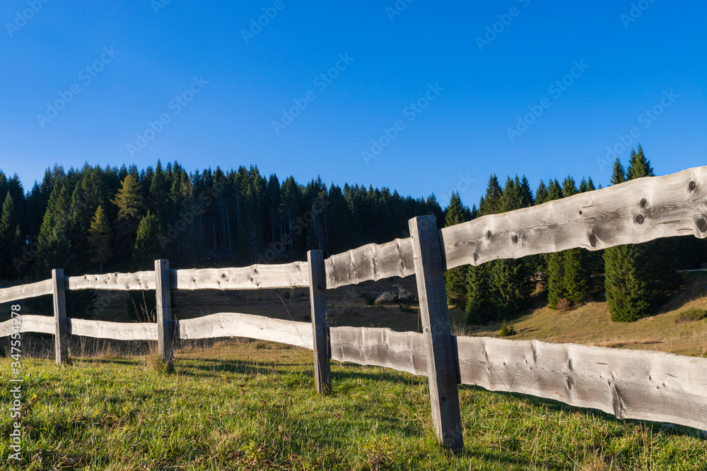 A rural fence with pastures in the Trentino Dolomites. Wooden boards aged by the sun and rain. An autumn day, the blue color dominates the cloudless sky. Spruce woods in the background. Italy A rural fence with pastures in the Trentino Dolomites. Wooden boards aged by the sun and rain. An autumn day, the blue color dominates the cloudless sky. Spruce woods in the background. Italy