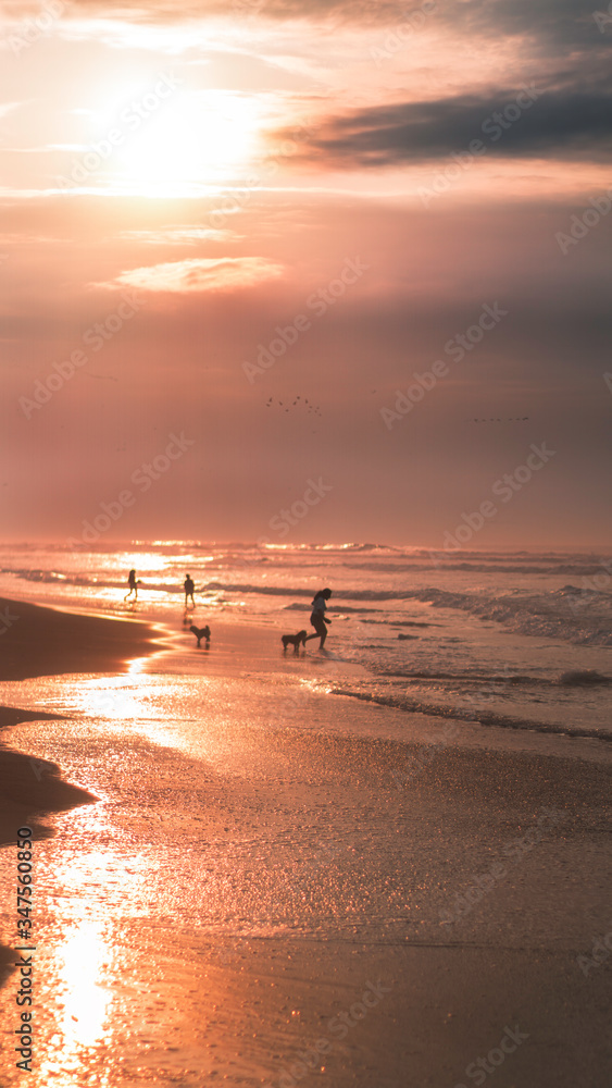 Naklejka premium sunset on the beach