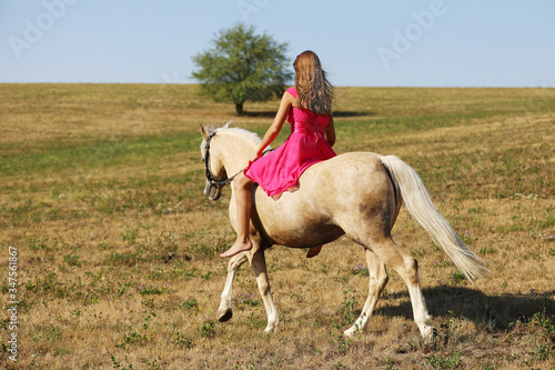 Girl on palomino ponny on meadow in summer afternoon © sci