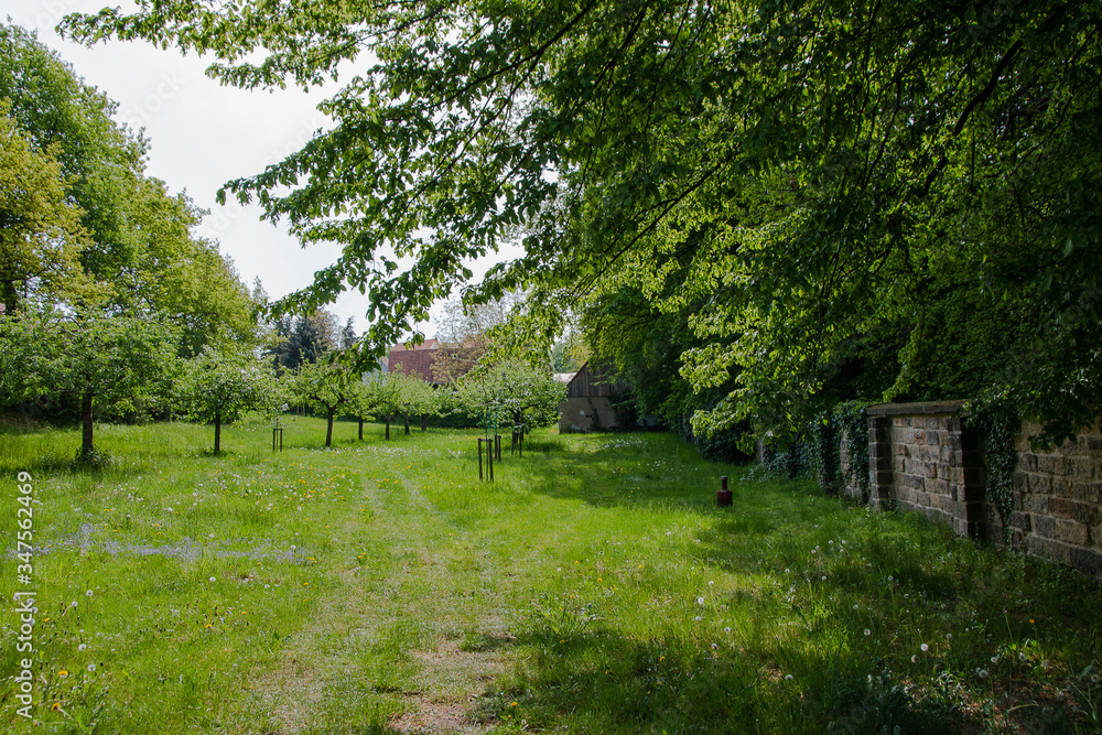 meadow with barn meadow with barn