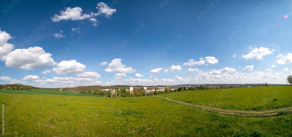 View of a wheat field in Kansas. grass on blue sky background. Green Kansas wheat