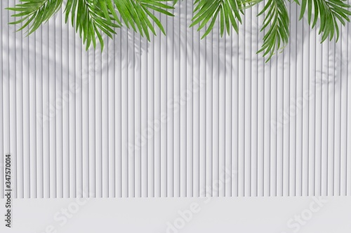 Empty room background with palm leaf and shadow on the wall. 3d render.
