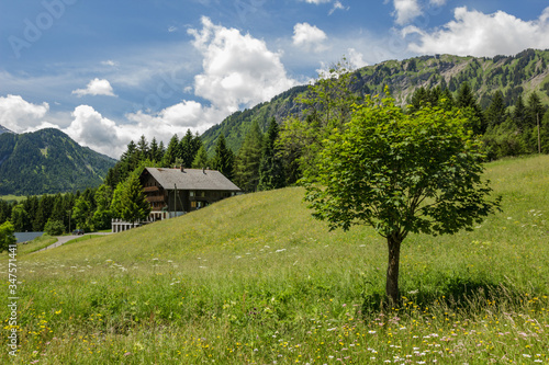 Classic swiss chalet in the middle of green alpine meadows . Cozy rural village Champery in Switzerland. Bright blue sky and white fluffy clouds over rocky peaks