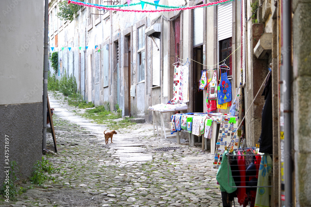 Pequeño comercio de souvenirs en una calle modesta con un perrito delante