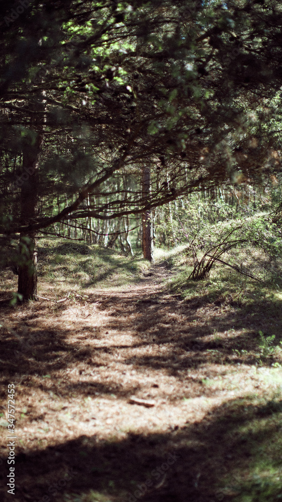 Naklejka premium ainsdale