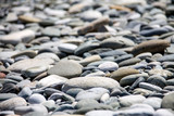 Pebble beach. Stones close-up and focus on near stones with blur in perspective. A clear sunny day.