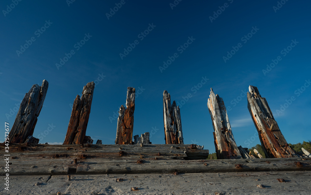 Construction ribs of shipwreck. Fore-and-aft schooner Raketa, built in Rauma, Finland in the post war years for the Soviet Union as compensation for war damages. Estonian coast. Sharp wooden teeth. Construction ribs of shipwreck. Fore-and-aft schooner Raketa, built in Rauma, Finland in the post war years for the Soviet Union as compensation for war damages. Estonian coast. Sharp wooden teeth.