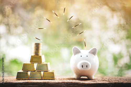 Piggy bank and gold bar with coin drop on the top with working capital management put on the wood in the public park, Saving money for future investment concept.