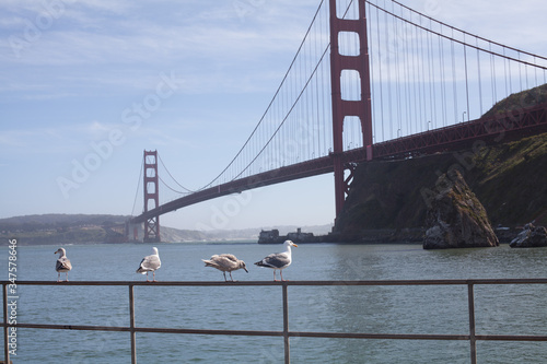 Платно Seagulls On Railing In Front Of Golden Gate Bridge Against Sky