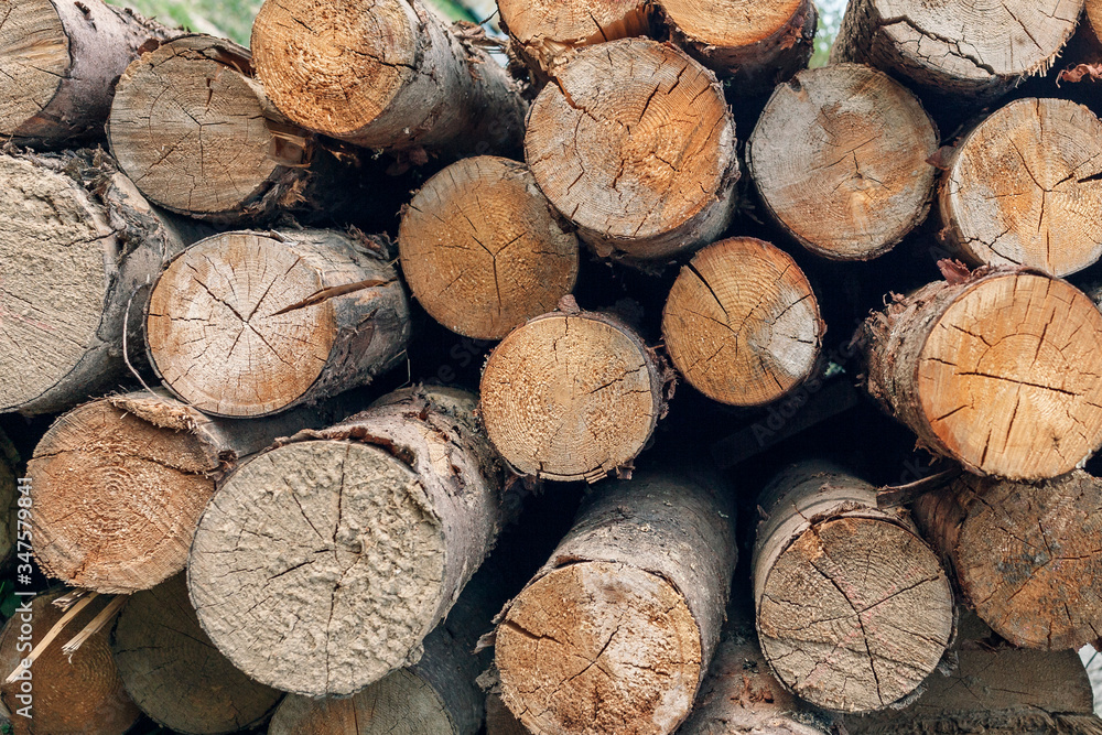 Chopped and stacked firewood of fruit trees Chopped and stacked firewood of fruit trees