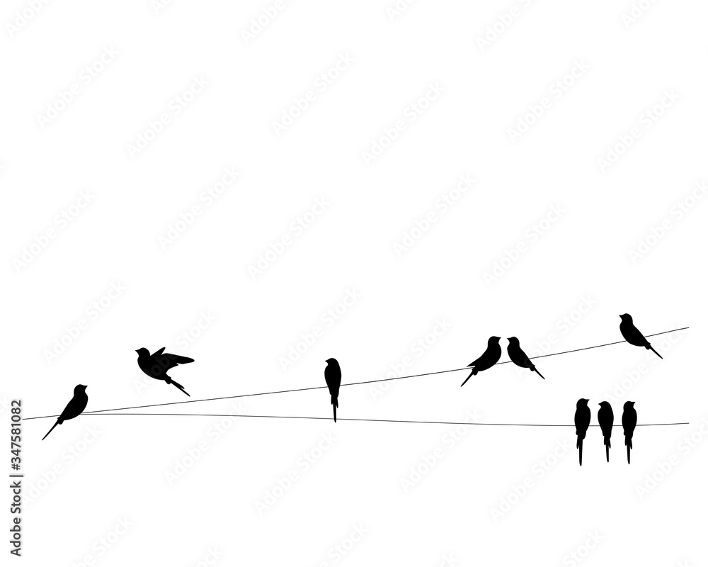 Vecteur Stock Birds silhouettes on wire, vector. Wall decals, wall art  work. Scandinavian minimalist poster design isolated on white background.  Flying bird silhouette, illustration. | Adobe Stock