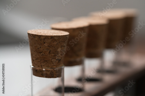 empty walnut holder with glass tubes for spices on concrete surface photo