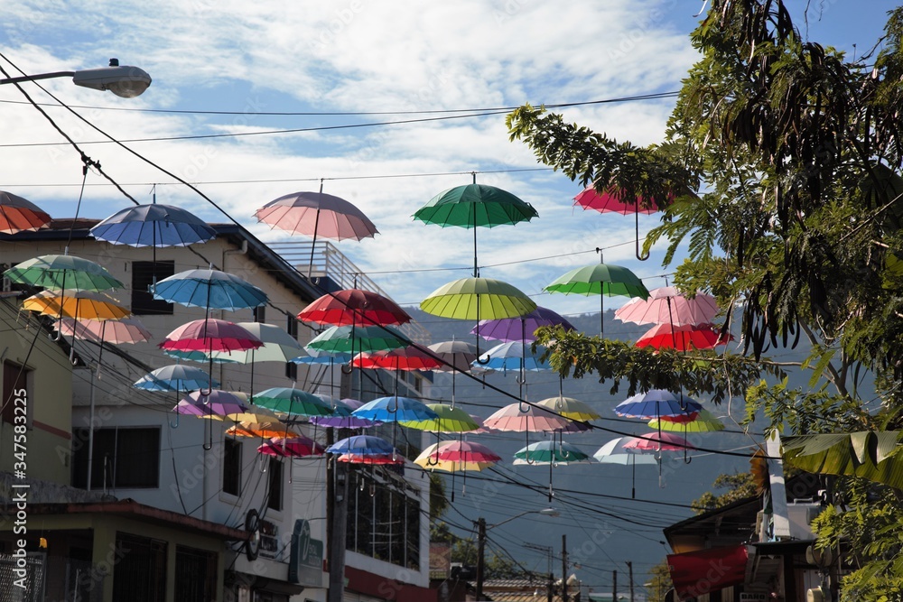 Umbrellas hanging above street in Dominican Republic