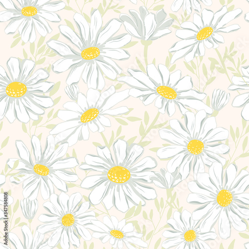 Chamomile seamless pattern. Vector illustration of endless flowers.