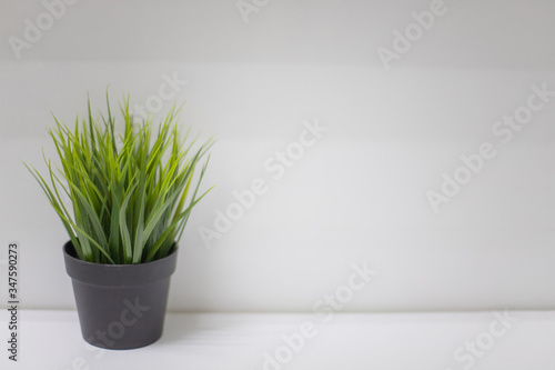 A black pot with artificial green grass on a shelf against a white wall background. Empty space for copying text.