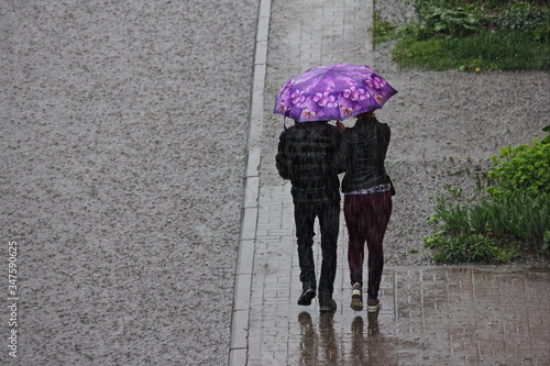 Fotografi A people couple in black jackets under one bright colored umbrella walking toget