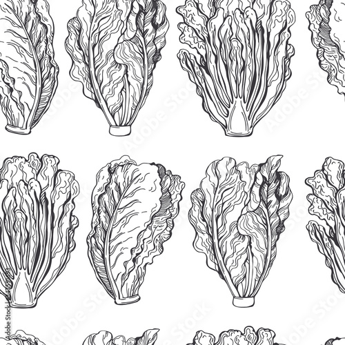 Hand drawn romaine lettuce. Romano salad. Vector seamless pattern.