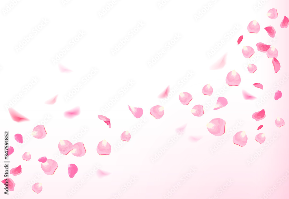 Pink rose petals is flying in the air with flares