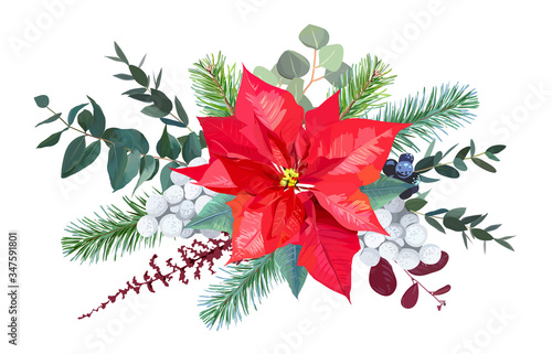 Christmas bouquet arranged from red poinsettia, parvifolia eucalyptus