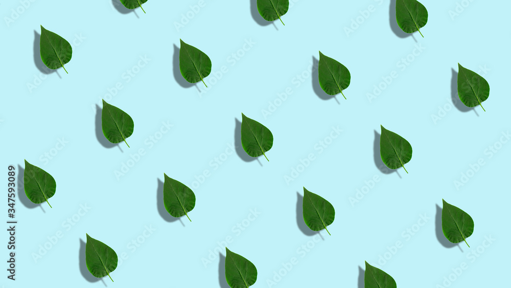 Lilac leaves pattern, dynamic and bright. Made of photos. Abstract Spring or Summer template. Light blue background. Also fit vertical Lilac leaves pattern, dynamic and bright. Made of photos. Abstract Spring or Summer template. Light blue background. Also fit vertical