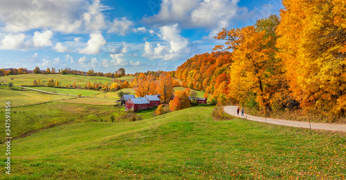 Obraz na plátně Brilliant golden fall colors in Vermont Countryside farm during Autumn near Wood