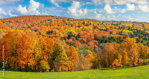 Fototapeta Naklejka Na Ścianę i Meble -  Brilliant fall colors in Vermont Countryside farm during Autumn near Woodstock