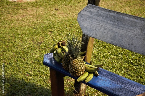 Fruit on a bench. photo